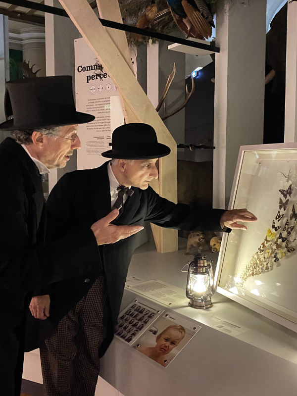 Safaris nocturnes - Mystères au Muséum