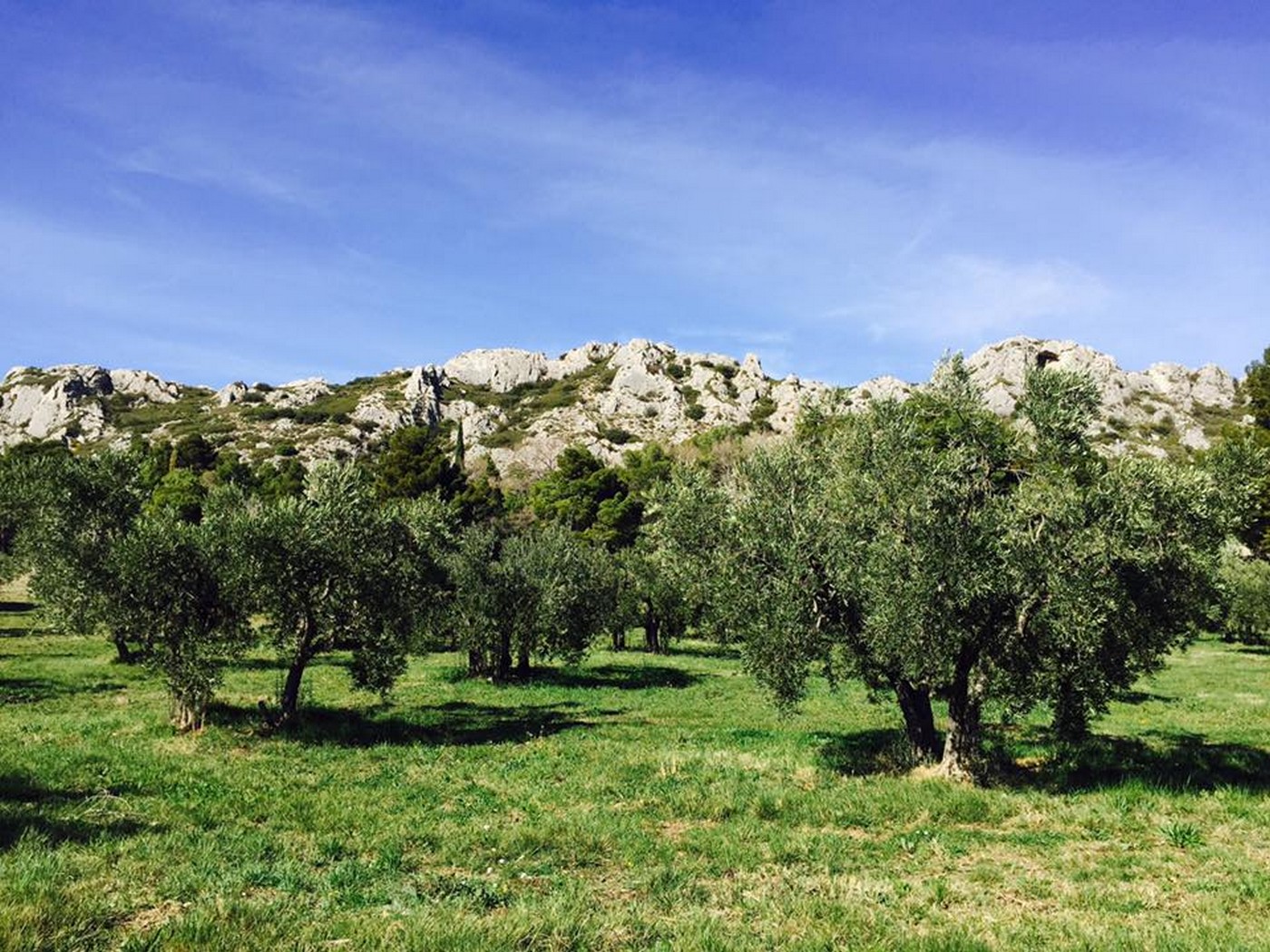 Chato Forme - photo 4