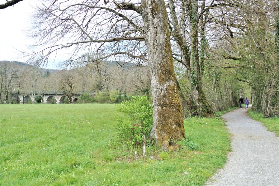 Voie douce Brassac à Bouissas  - Vélo