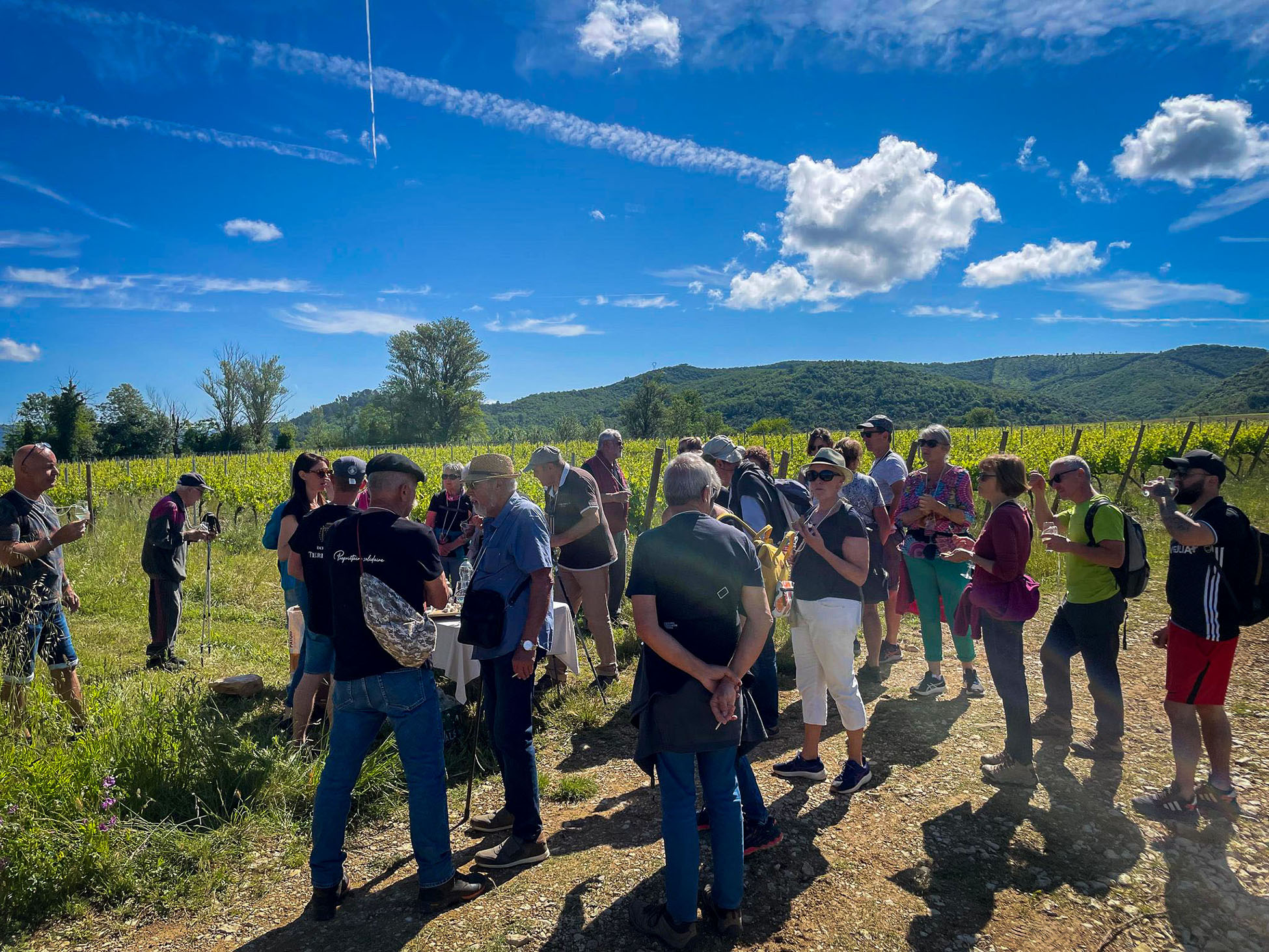 Randonnée gourmande - Domaine Terra Noé 25.05 (2)
