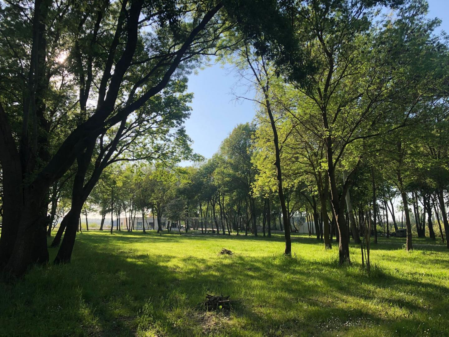 Domaine des Eucalyptus, Mollégès - photo 42