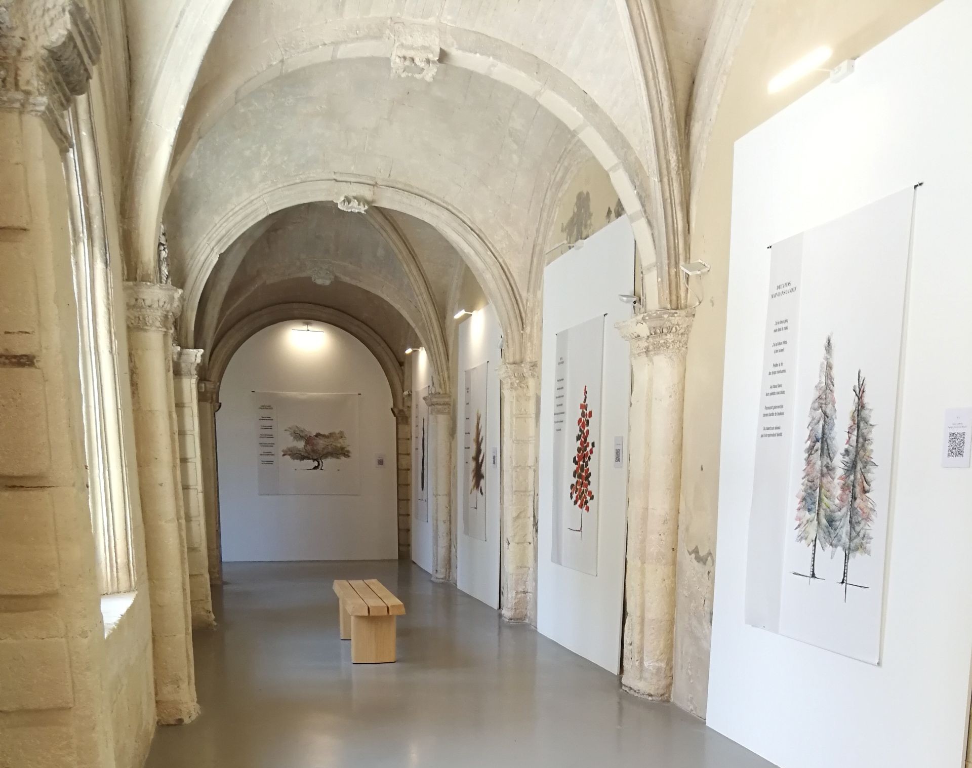 Les Cordeliers - Musée d'Art et d'Histoire, Tarascon - photo 9