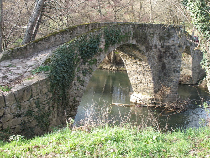 Le Pont des Anes