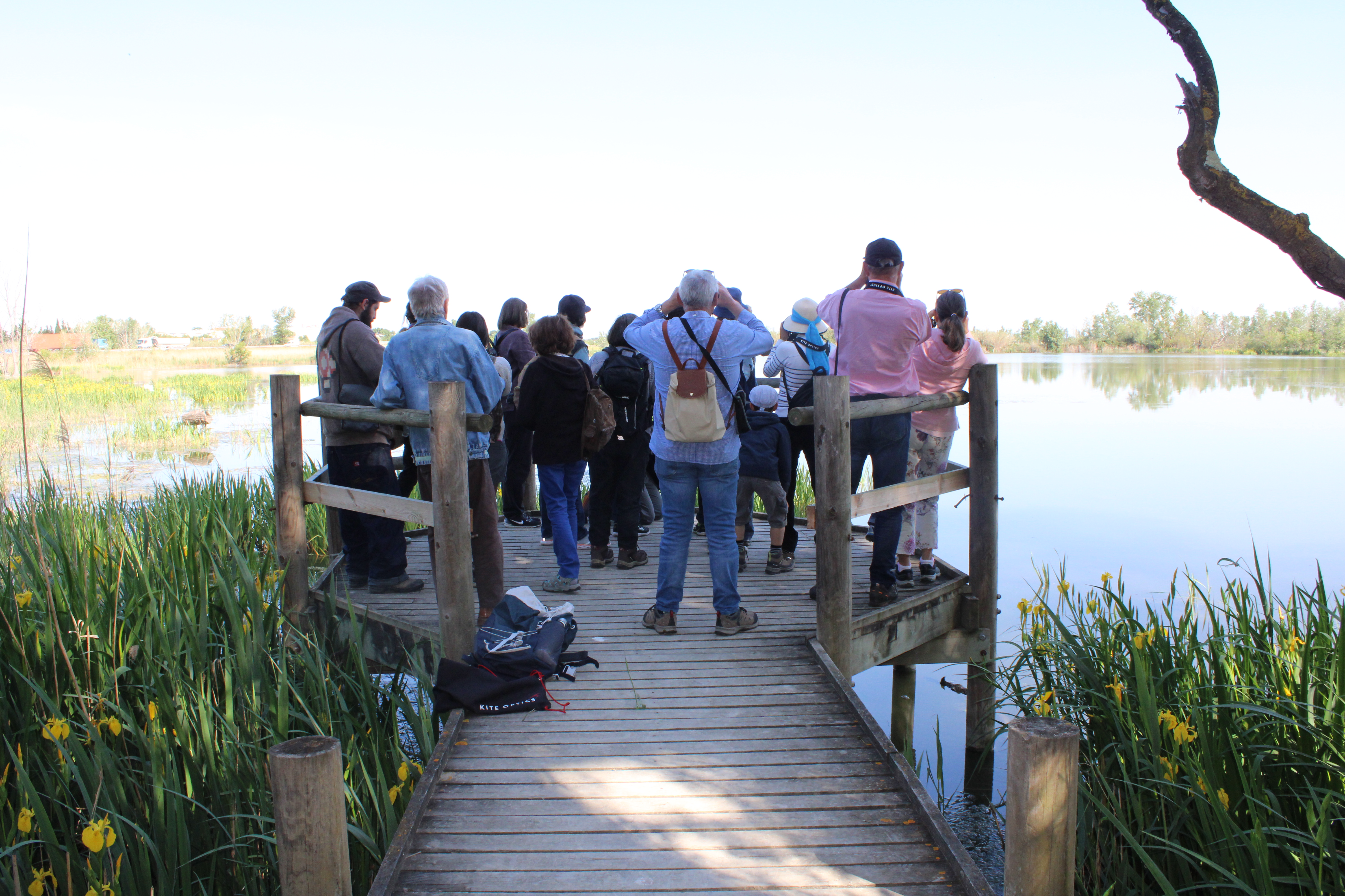 Sortie nature : Visite des marais de Beauchamp