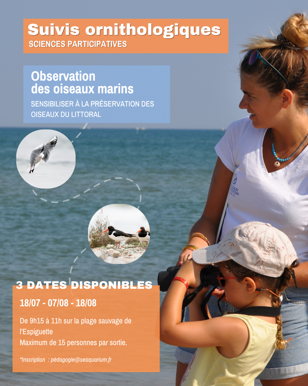 Suivis ornithologiques avec le Seaquarium Institut Marin 