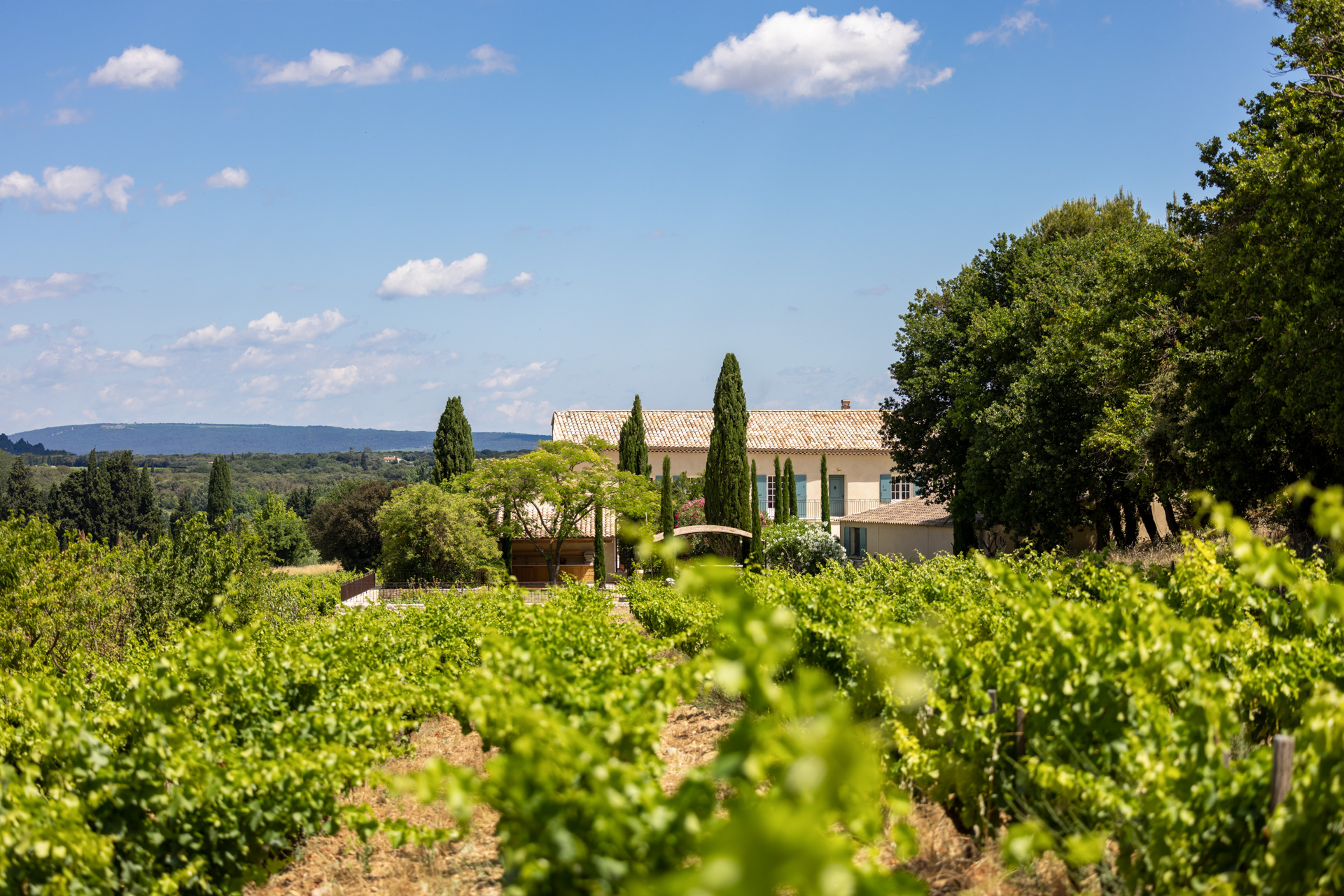 Domaine le Prieuré des Papes