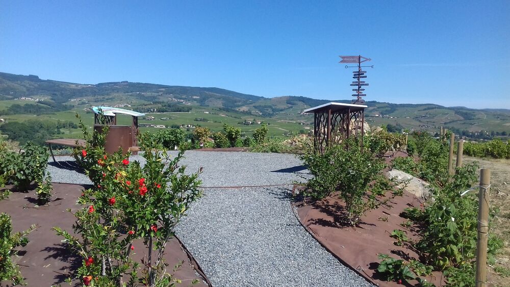 Balade Côte du Py Villié Morgon