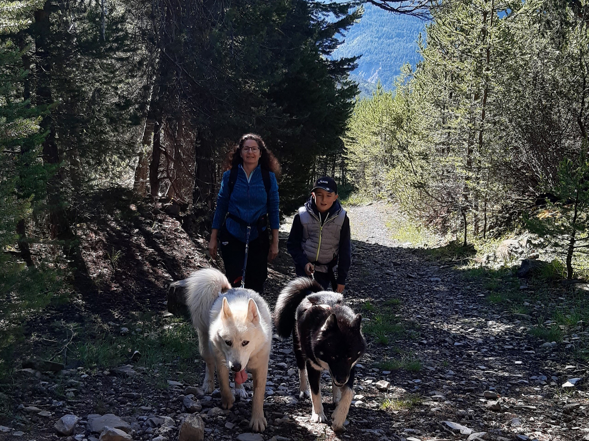 Montagnes d'Ubaye : cani-rando