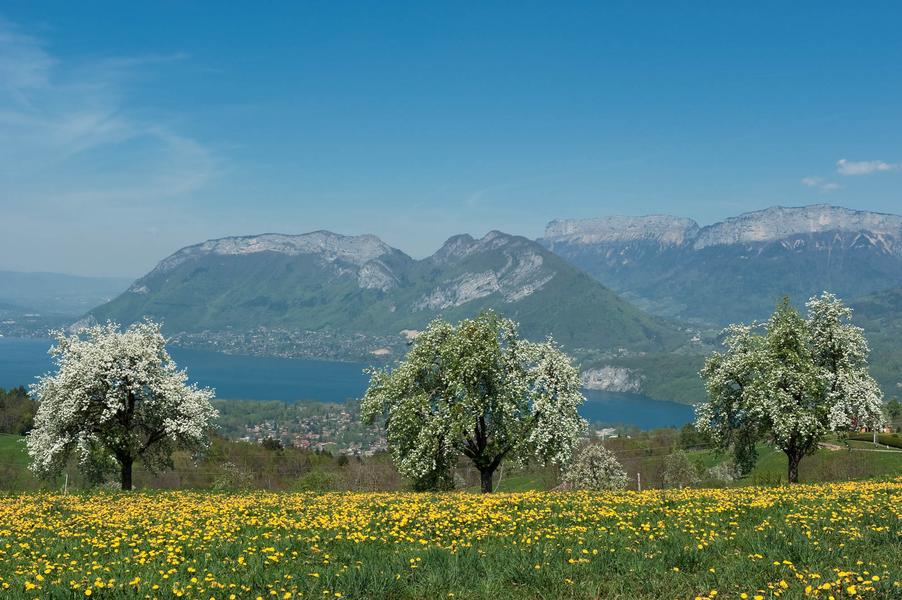 Montée au Col de Leschaux