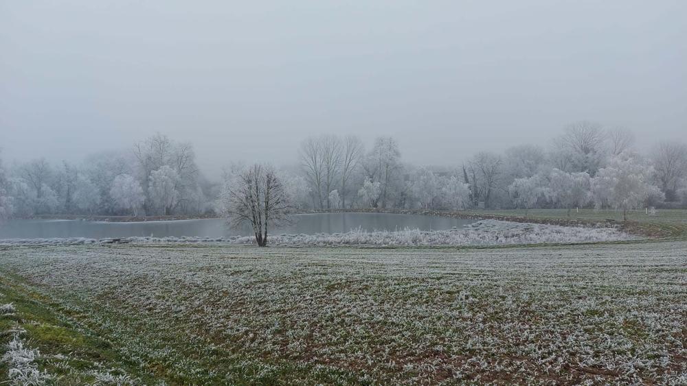 Etang situé a 300 m