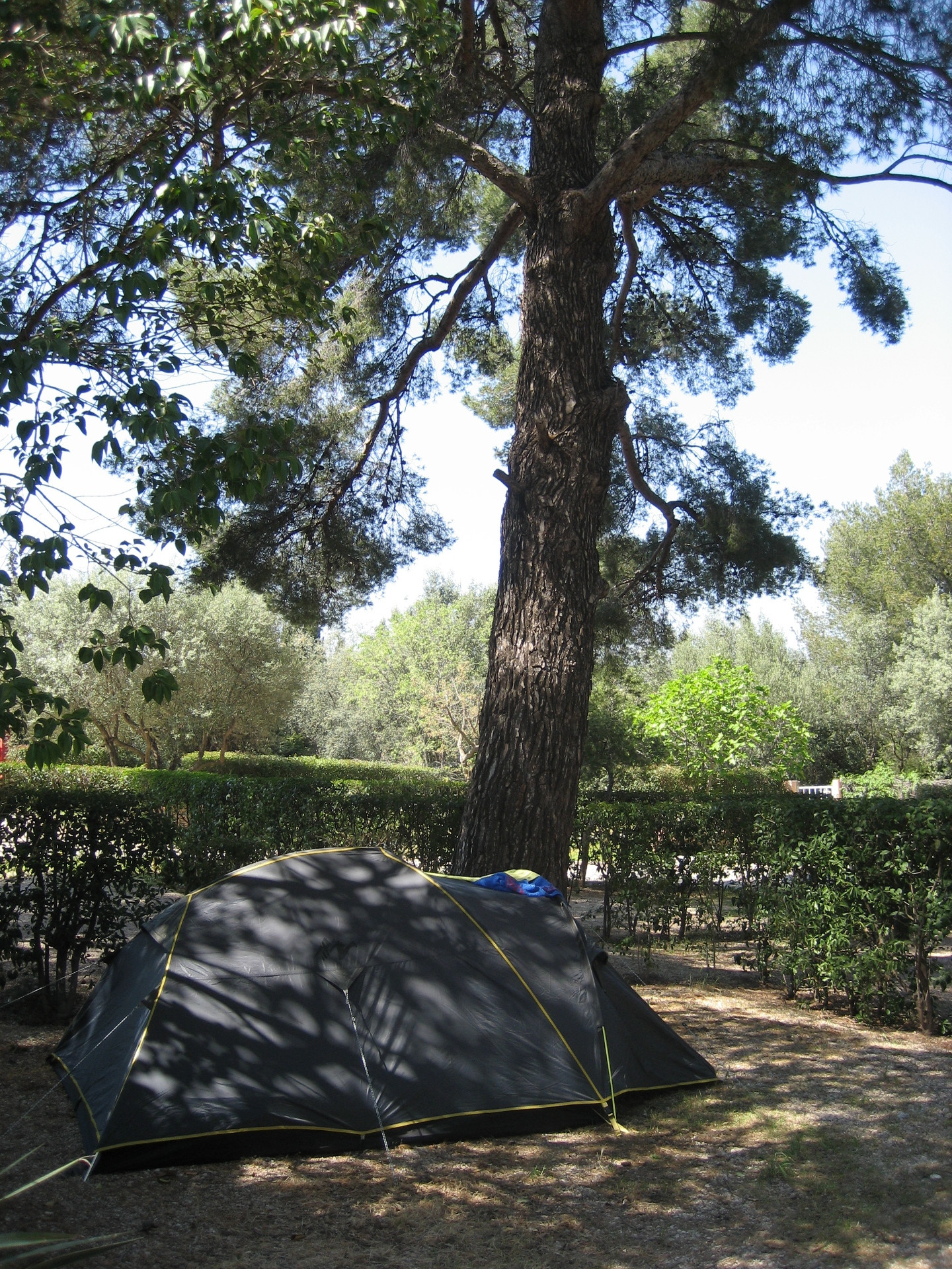 Les Cigales, Cassis - photo 6