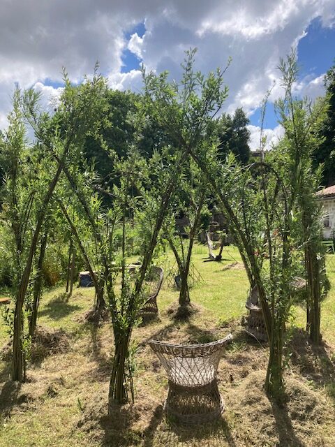 Visite libre du jardin de La Belle Etoile à Saintes