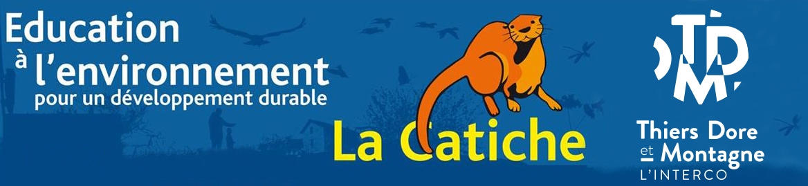 La balade de pipistrelle au Lac d'Aubusson