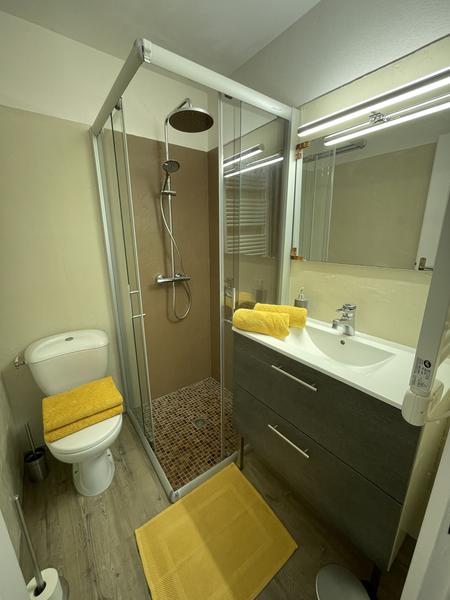 Une salle d'eau avec cabine de douche, vasque et toilette.