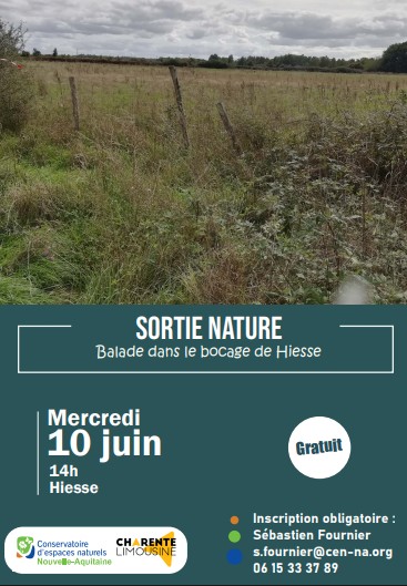Balade dans le bocage