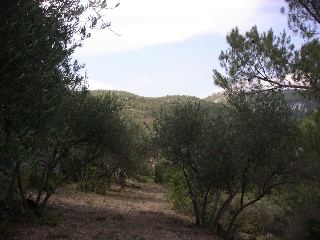 La Romarine, Cuges-les-Pins - photo 30