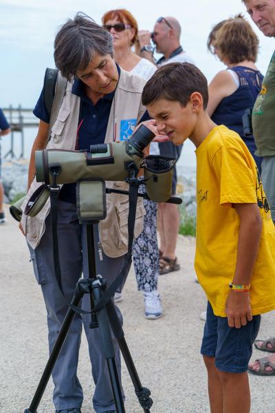 Visite guidée pour observer les oiseaux du littoral à Châtelaillon-Plage