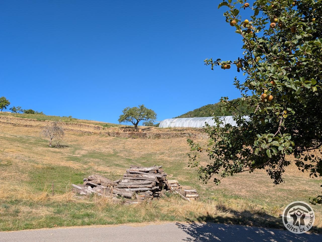 Gîte à l'étage - La Panoncelière 2 à Rontalon dans le Lyonnais - Rhône : la campagne du Lyonnais.