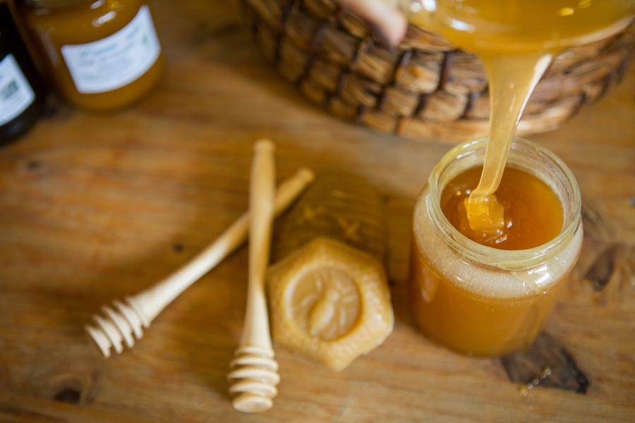Atelier à la découverte du monde des abeilles