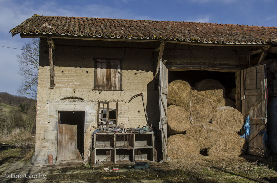 Randonnées à cheval en CAPI