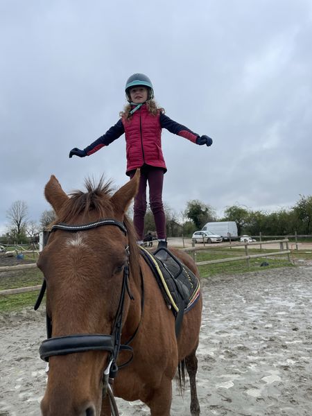 Voltige - Ecurie Horseland