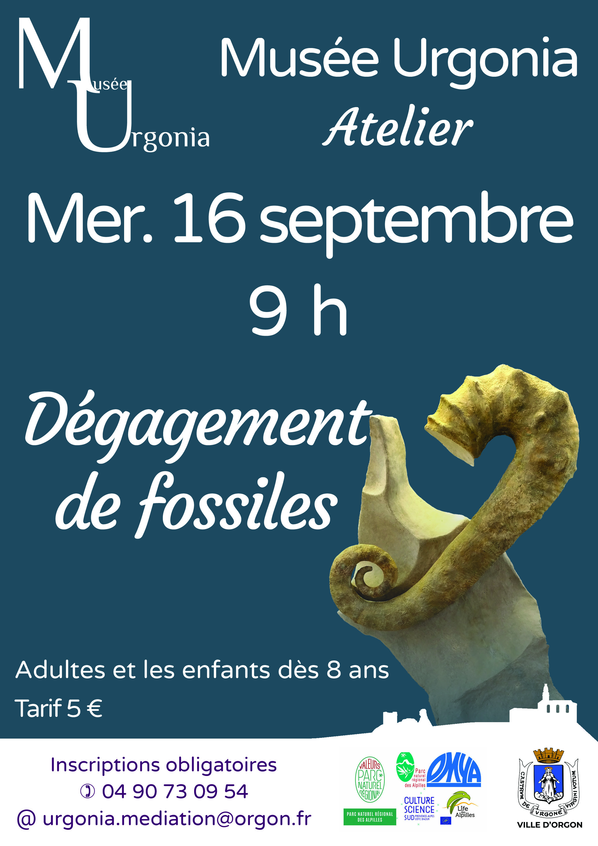 Atelier d'initiation au dégagement de fossiles