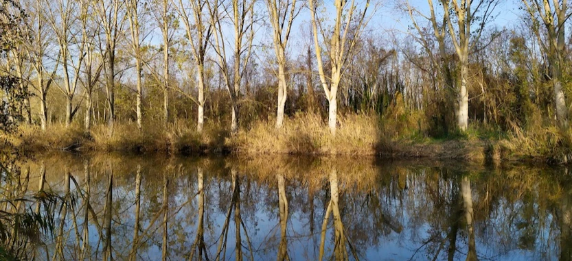 Cottey Bas - Lône du Cottey