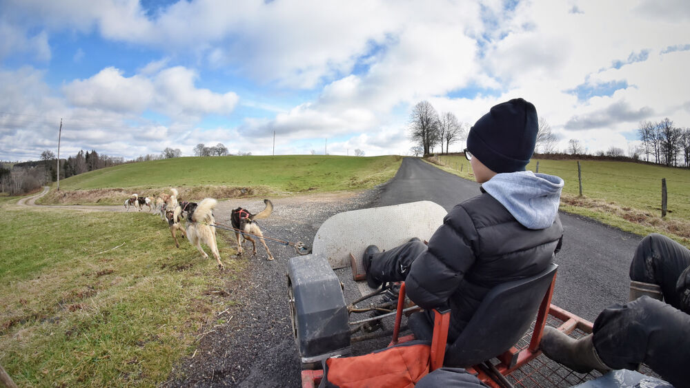 Cani Kart avec Takamaka