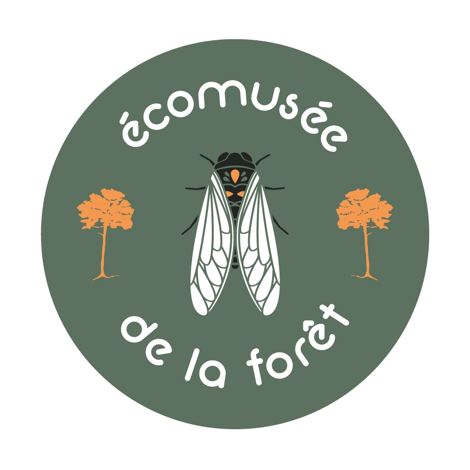 Ecomusée de la Forêt Méditerranéenne, Gardanne - photo 4