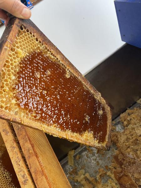 The apiary of Hélo_Massy