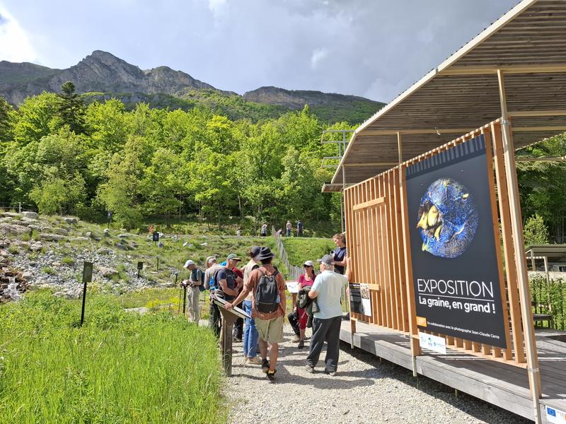 Visite guidée de l'exposition La graine, en grand ! - © S. Vialatte - CBNA Visite guidée La Graine, en Grand !_Gap - © S. Vialatte - CBNA