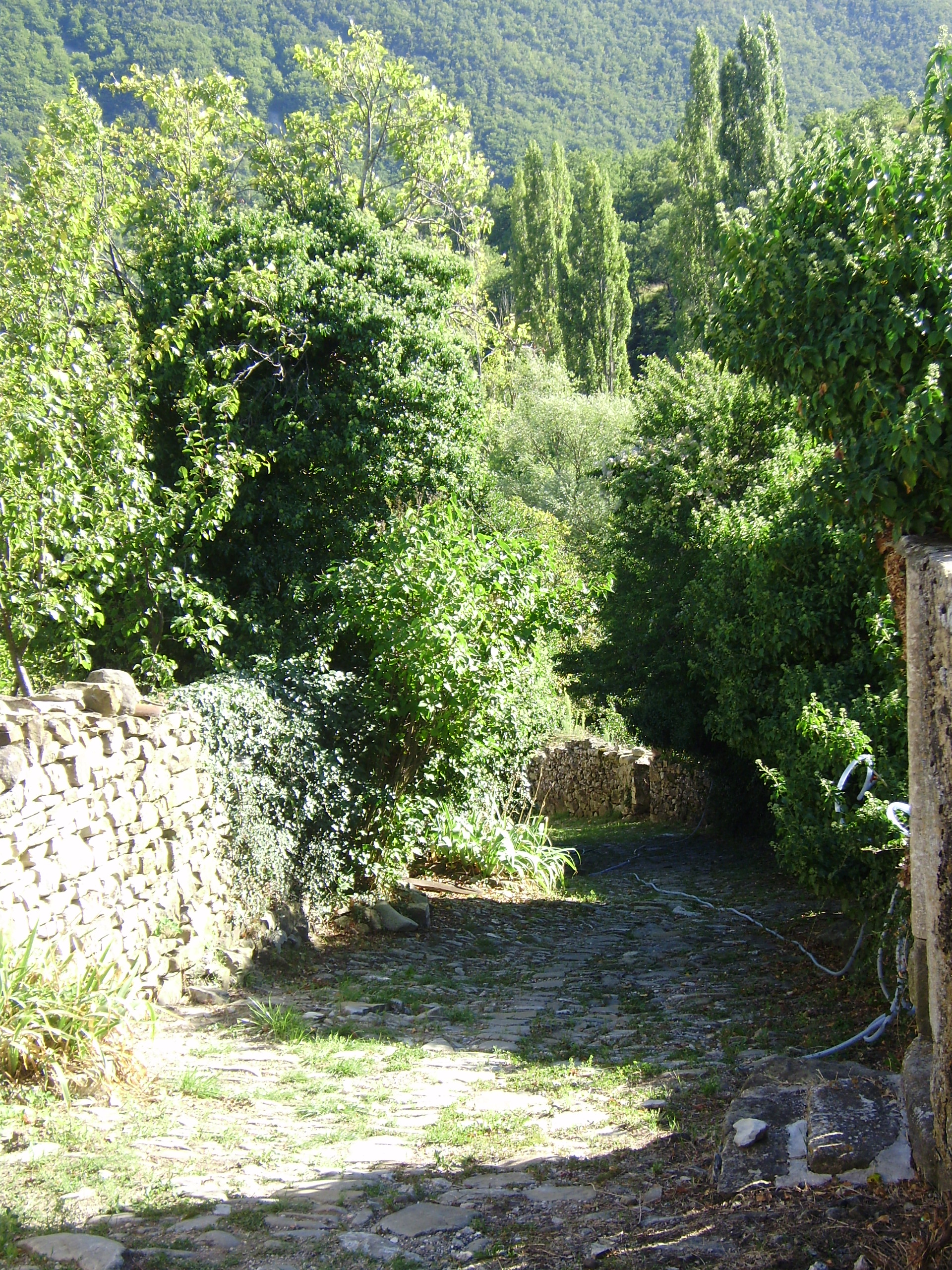 chemin