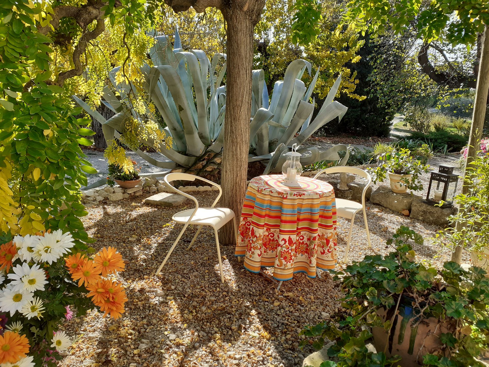 Le Petit Mas de Monge