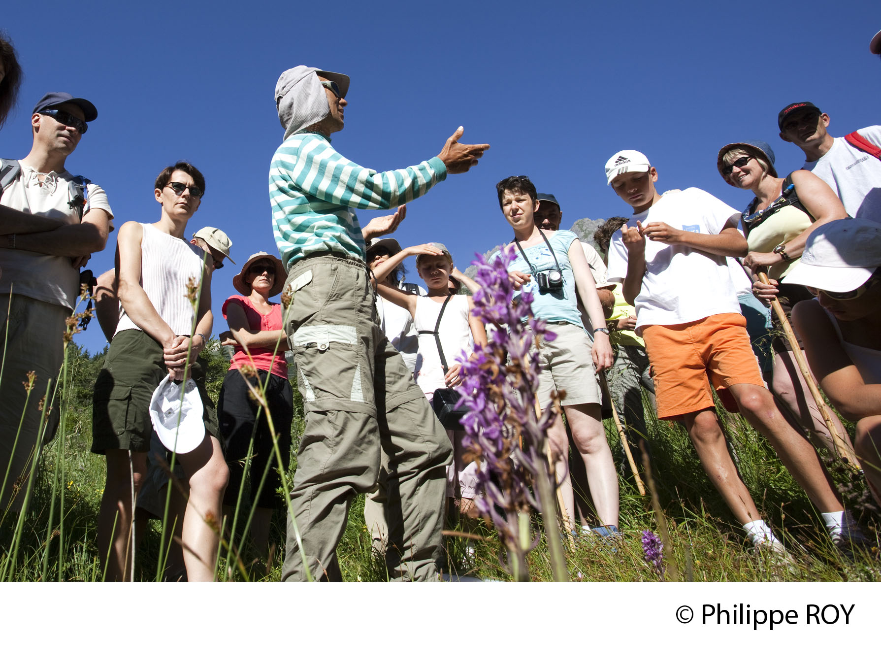 Botanical walks with Thierry Bardagi