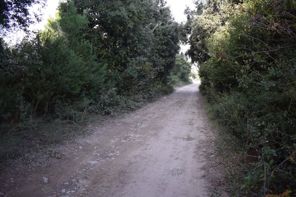 Vestiges romains, Lançon-Provence - photo 2