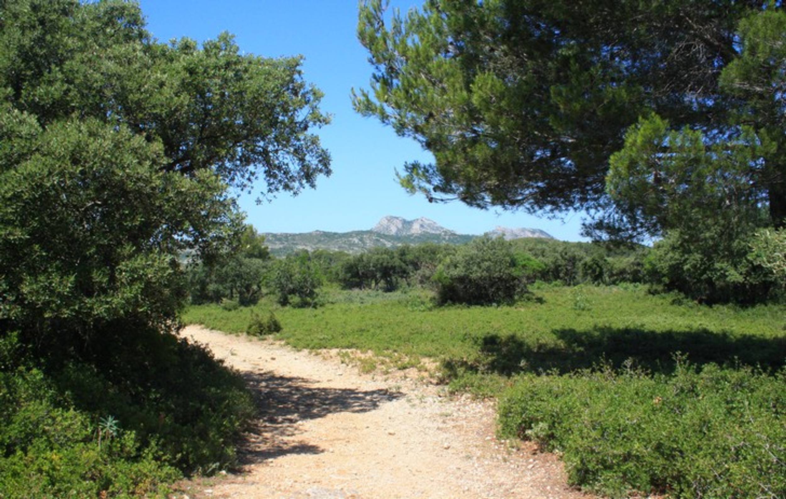 EYGUIÈRES - La Routo : le massif du Défends, Eyguières - photo 4