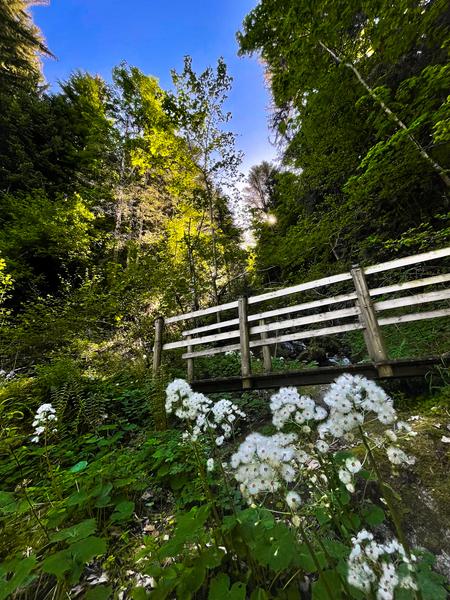 Boucle Cheminée des fées en passant par le Berchat