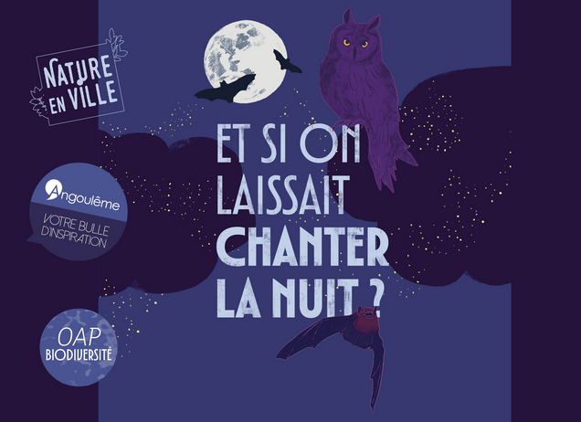 Conte aux chandelles - Le pays du Croa sans lune