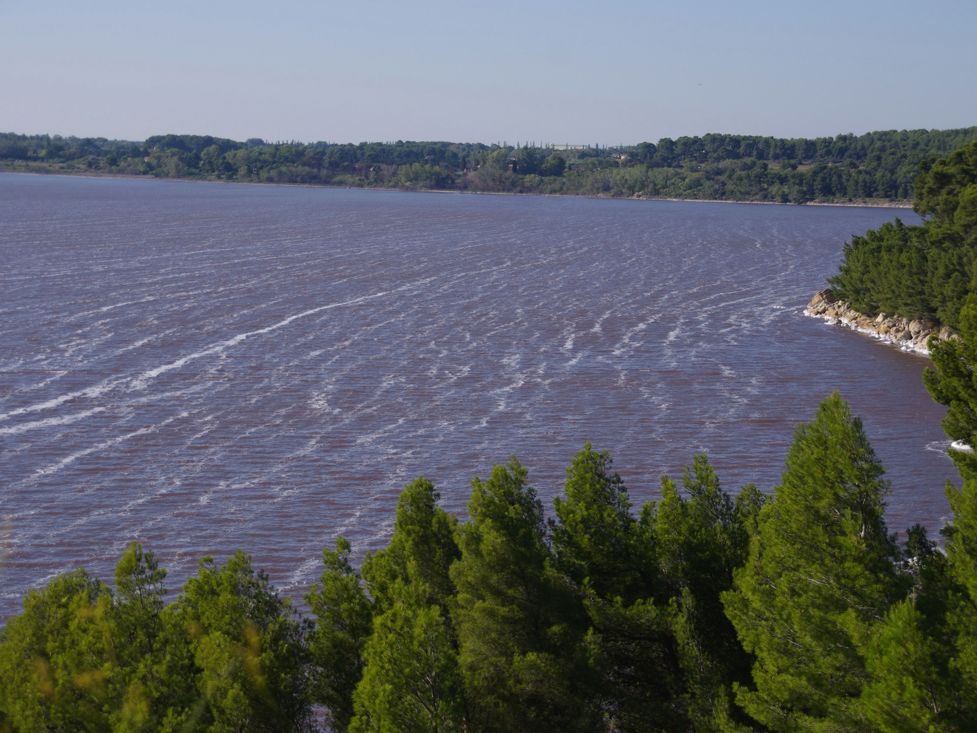Forêt de Castillon - Etangs de Pourra et d'Engrenier, Port-de-Bouc - photo 5
