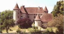 chateau_cuirieu_1.jpg