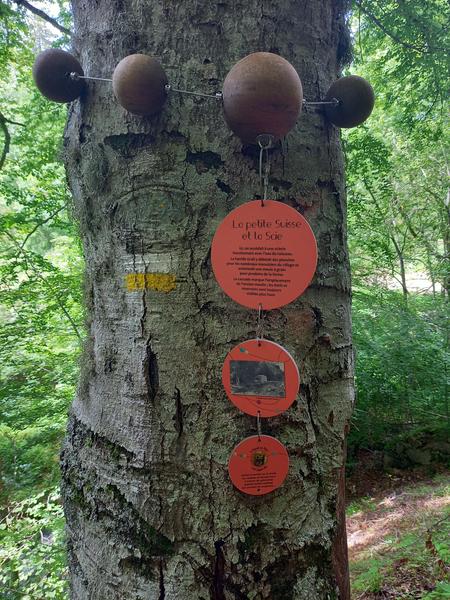 Collier de signalétique