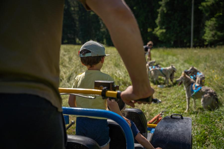 Mushing'EXPERIENCE_Champéry