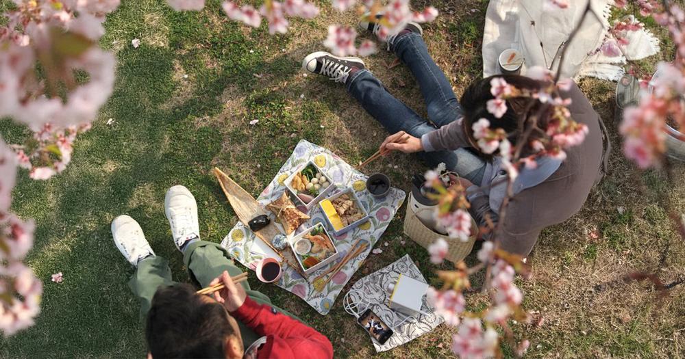 Après-midi Hanami_Bormes-les-Mimosas