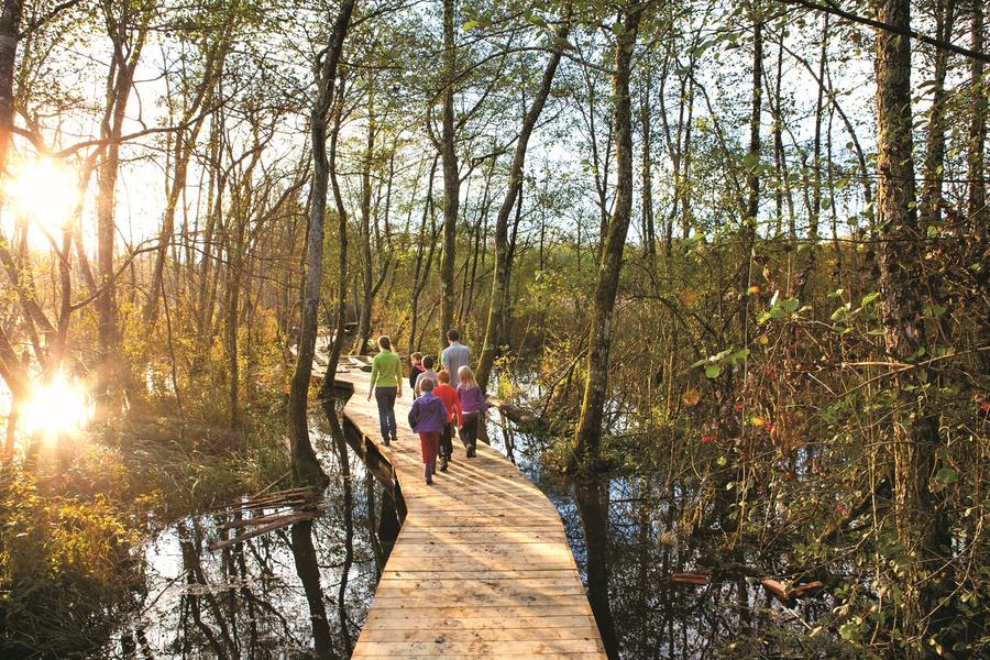 Itinérance l'Ain à Vélo - Au pays de Brillat-Savarin (2 jours)_Culoz-Béon-10