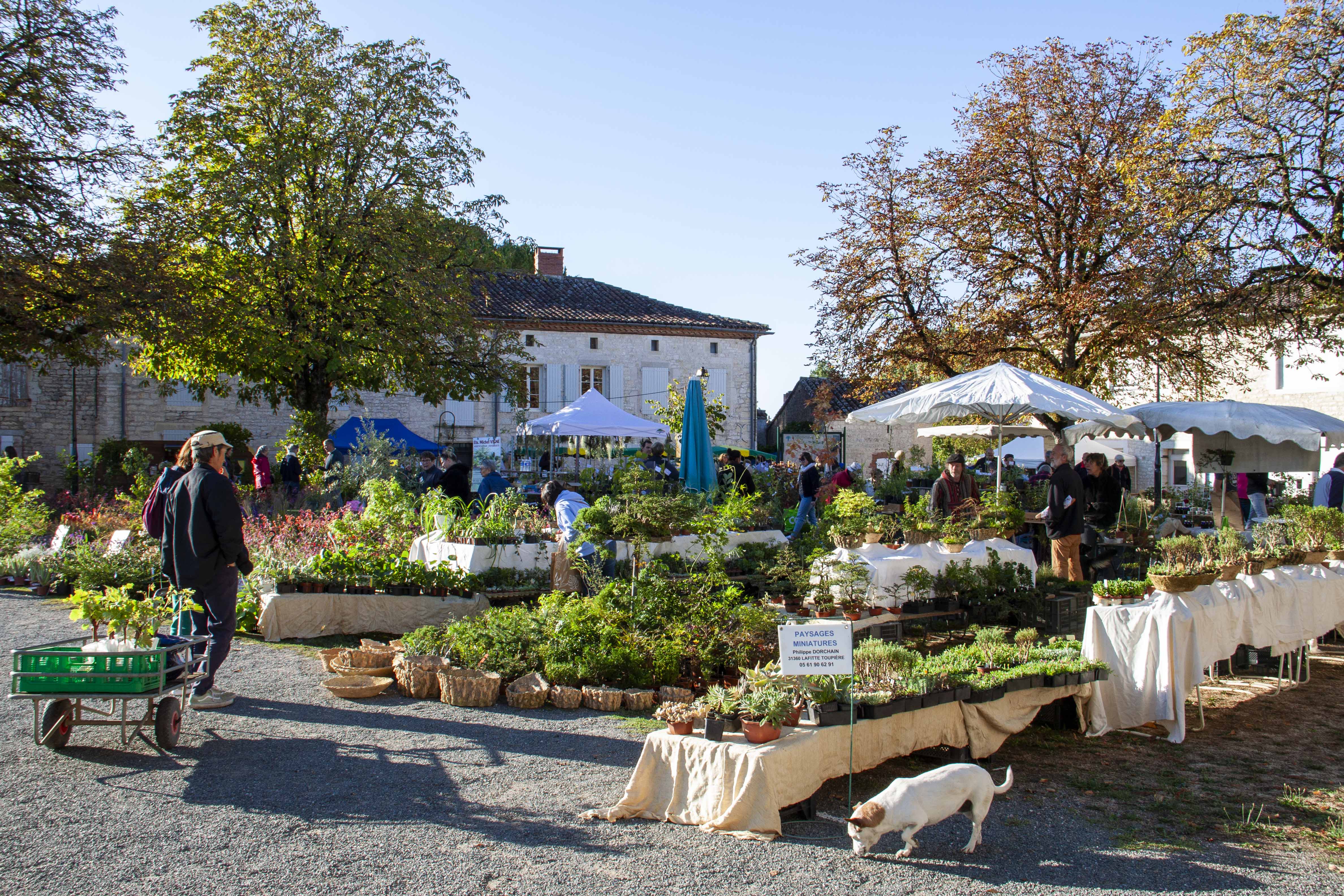 Foire aux plantes