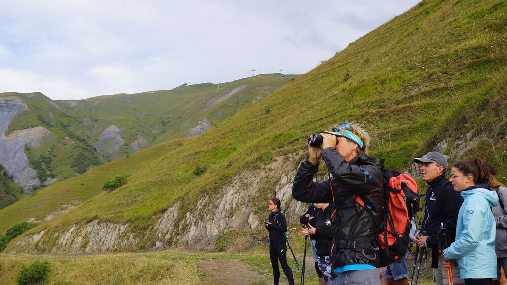 Sortie chamois avec Bureau Montagne