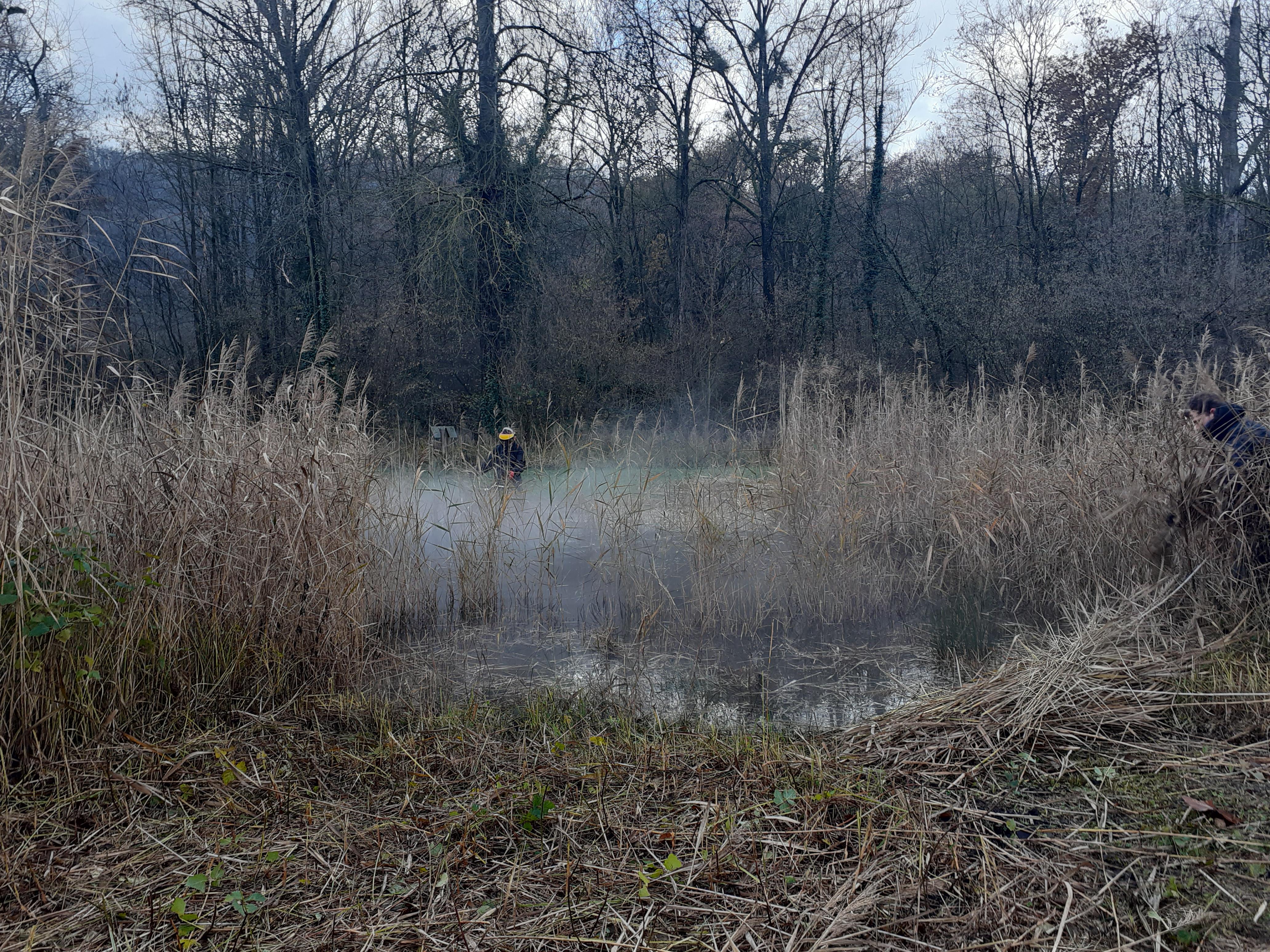 Sortie nature : restauration de mare - chantier participatif