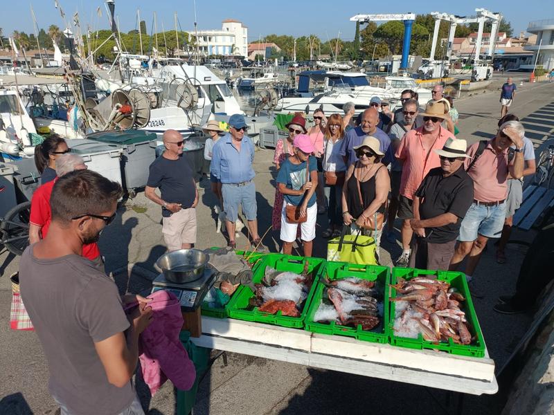 Etal_de_vente_pêche_professionnelle