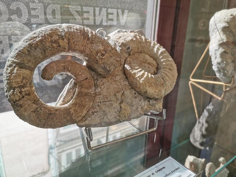 Journées portes ouvertes du musée géologique_Collobrières