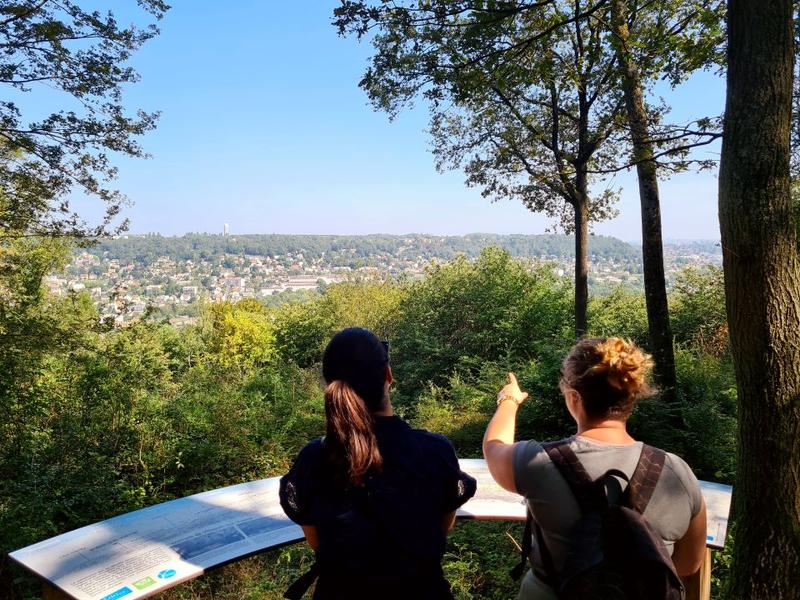 Bois des Gelles 